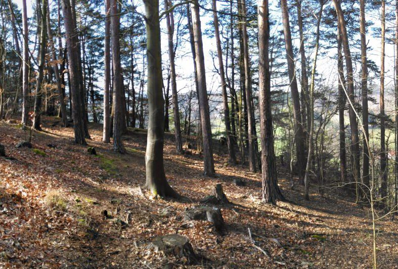 na-hradcich-foto-nahled