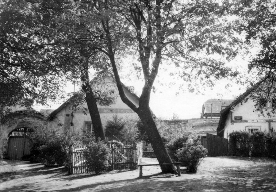 Before image